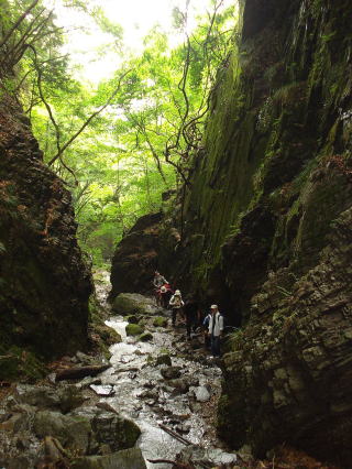 棒E折山